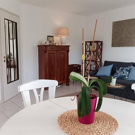 Strasbourg 3 Pieces Avec Jardin Leilighet Brumath Eksteriør bilde