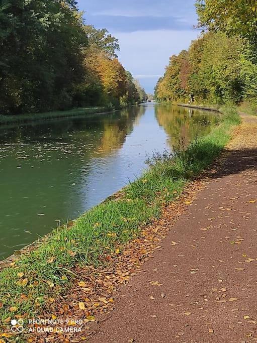 Strasbourg 3 Pieces Avec Jardin Leilighet Brumath Eksteriør bilde