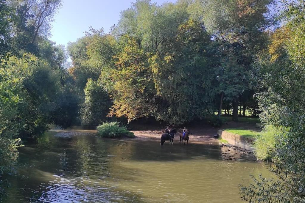Strasbourg 3 Pieces Avec Jardin Leilighet Brumath Eksteriør bilde