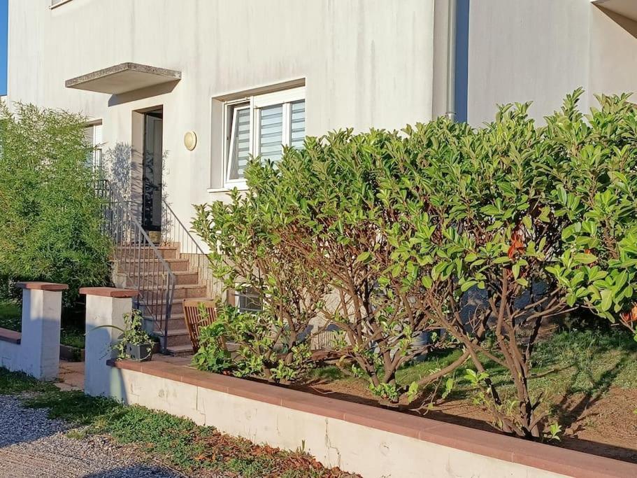 Strasbourg 3 Pieces Avec Jardin Leilighet Brumath Eksteriør bilde